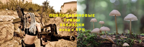 мескалин Новозыбков