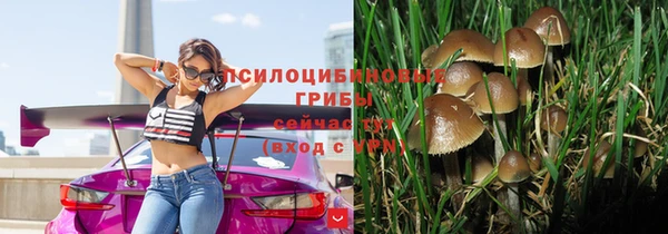 скорость Няндома