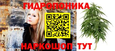 мяу мяу мука Апшеронск