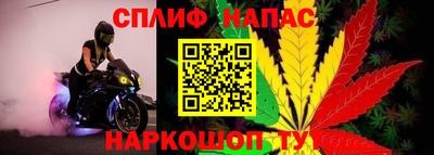 СК Камышлов