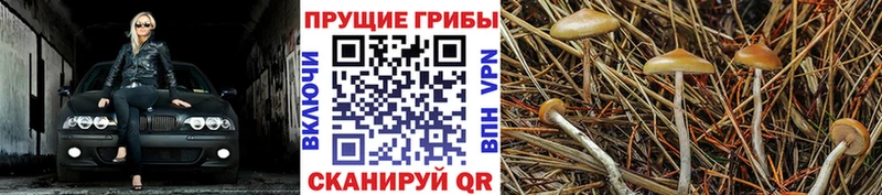 Псилоцибиновые грибы Magic Shrooms  мега ссылка  Симферополь 