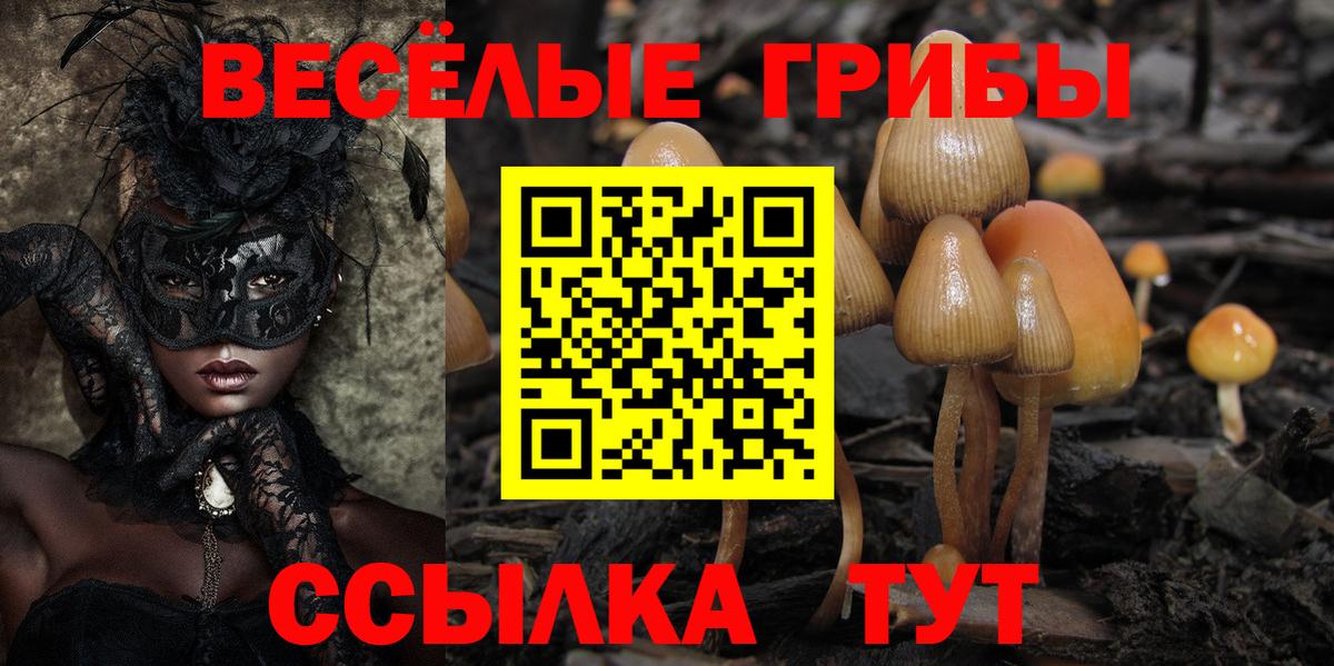 Галлюциногенные грибы GOLDEN TEACHER  Галлюциногенные грибы Psilocybine cubensis  Симферополь 
