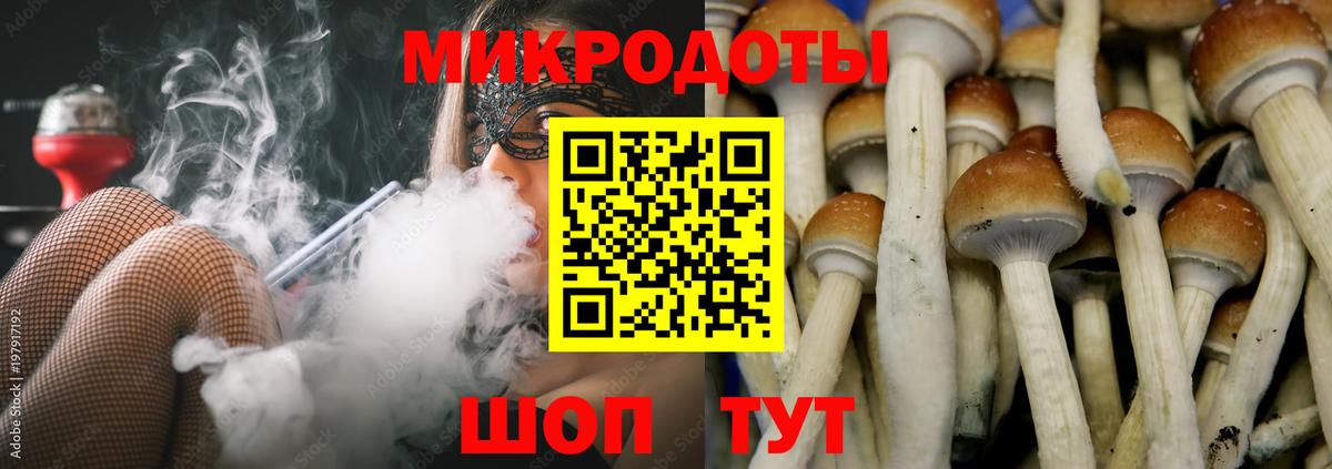 Галлюциногенные грибы Cubensis  Галлюциногенные грибы Cubensis  Симферополь  Вход с VPN 